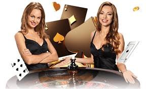 ikan togel platform interface showing sports, live dealer, and slots categories